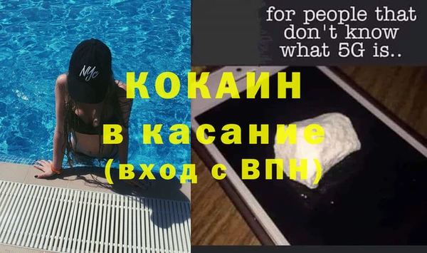 крисы Абаза