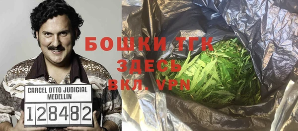 крисы Абаза