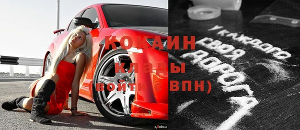 крисы Абаза