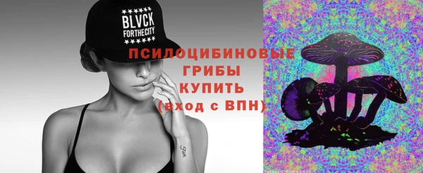 PSILOCYBIN Абинск