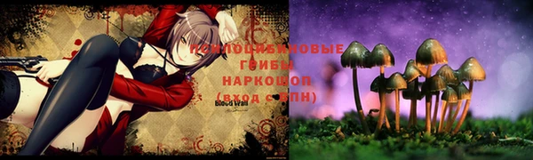 крисы Абаза